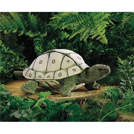 TORTUGA