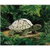 TORTUGA