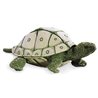 TORTUGA