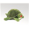 TORTUGA BEBE