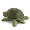 TORTUGA BEBE