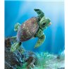 TORTUGA DE MAR