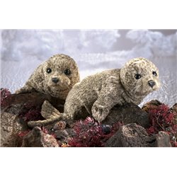 FOCA DE PUERTO