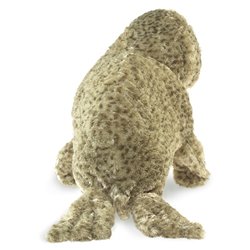 FOCA DE PUERTO