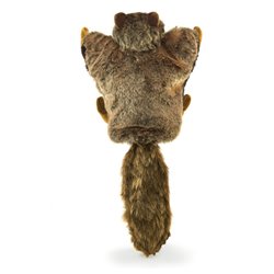 ARDILLA VOLADORA