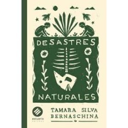 Libro. DESASTRES NATURALES. Tamara Silva Bernaschina