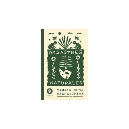Libro. DESASTRES NATURALES. Tamara Silva Bernaschina