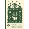 Libro. DESASTRES NATURALES. Tamara Silva Bernaschina