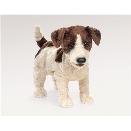 JACK RUSSELL TERRIER