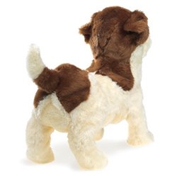 JACK RUSSELL TERRIER
