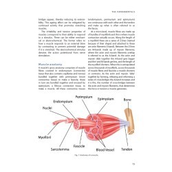 Libro. STRENGTH AND CONDITIONING FOR DANCERS