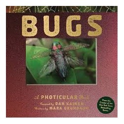 Libro. BUGS. A Photicular Book.