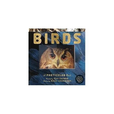 Libro. BIRDS. A Photicular Book