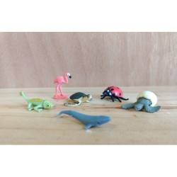 Figura. MINI SAFARI