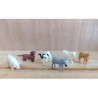 Figura. MINI SAFARI