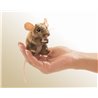 MINI RATON DE CAMPO