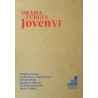 Libro. DRAMATURGIA JOVEN VI