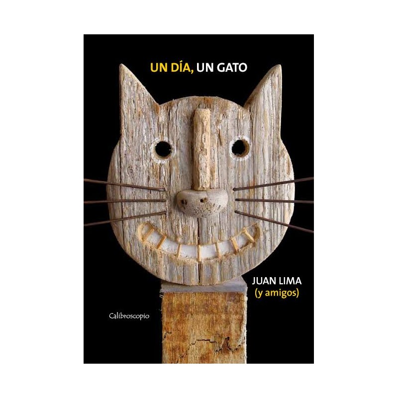 Libro. UN DÍA, UN GATO. Juan Lima (y amigos)
