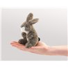 MINI JACK RABBIT
