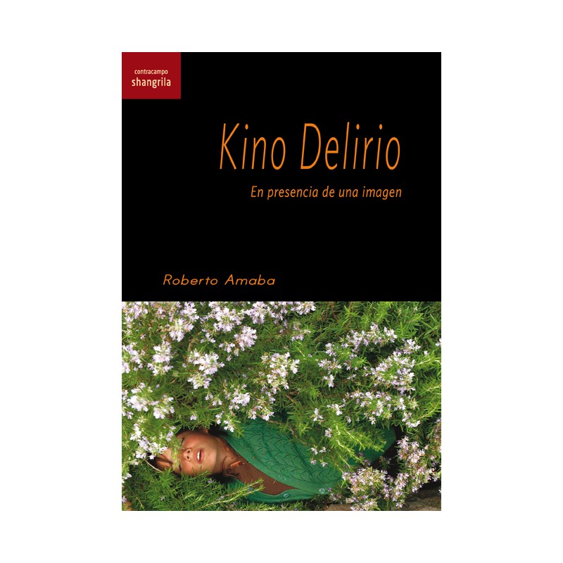 Libro. KINO DELIRIO - EN PRESENCIA DE UNA IMAGEN