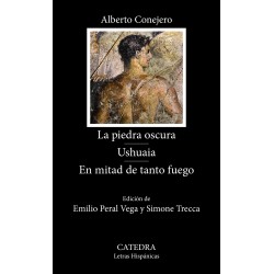 Libro. La piedra oscura. Ushuaia. En mitad de tanto fuego. Alberto Conejero