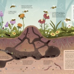Libro. PLANTAS QUE HABLAN, ANIMALES QUE CANTAN