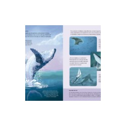Libro. PLANTAS QUE HABLAN, ANIMALES QUE CANTAN