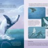 Libro. PLANTAS QUE HABLAN, ANIMALES QUE CANTAN