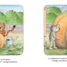 Libro. EL GATO BORIS 3 (LA CALABAZA)