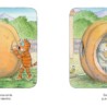 Libro. EL GATO BORIS 3 (LA CALABAZA)