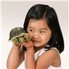 MINI TORTUGA