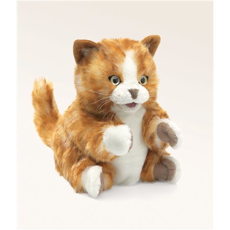 GATO NARANJA