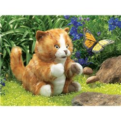 GATO NARANJA