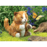 GATO NARANJA