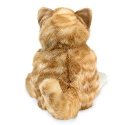 GATO NARANJA
