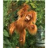 TÍTERE - ORANGUTÁN BEBÉ