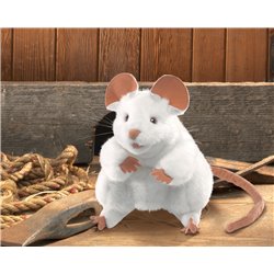 RATON BLANCO
