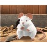 RATON BLANCO