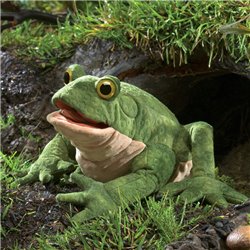 TÍTERE - SAPO